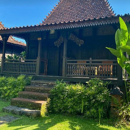 Alas Arum Ecolodge Selemadeg Kültér fotó