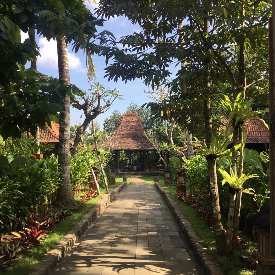 Alas Arum Ecolodge Selemadeg Kültér fotó