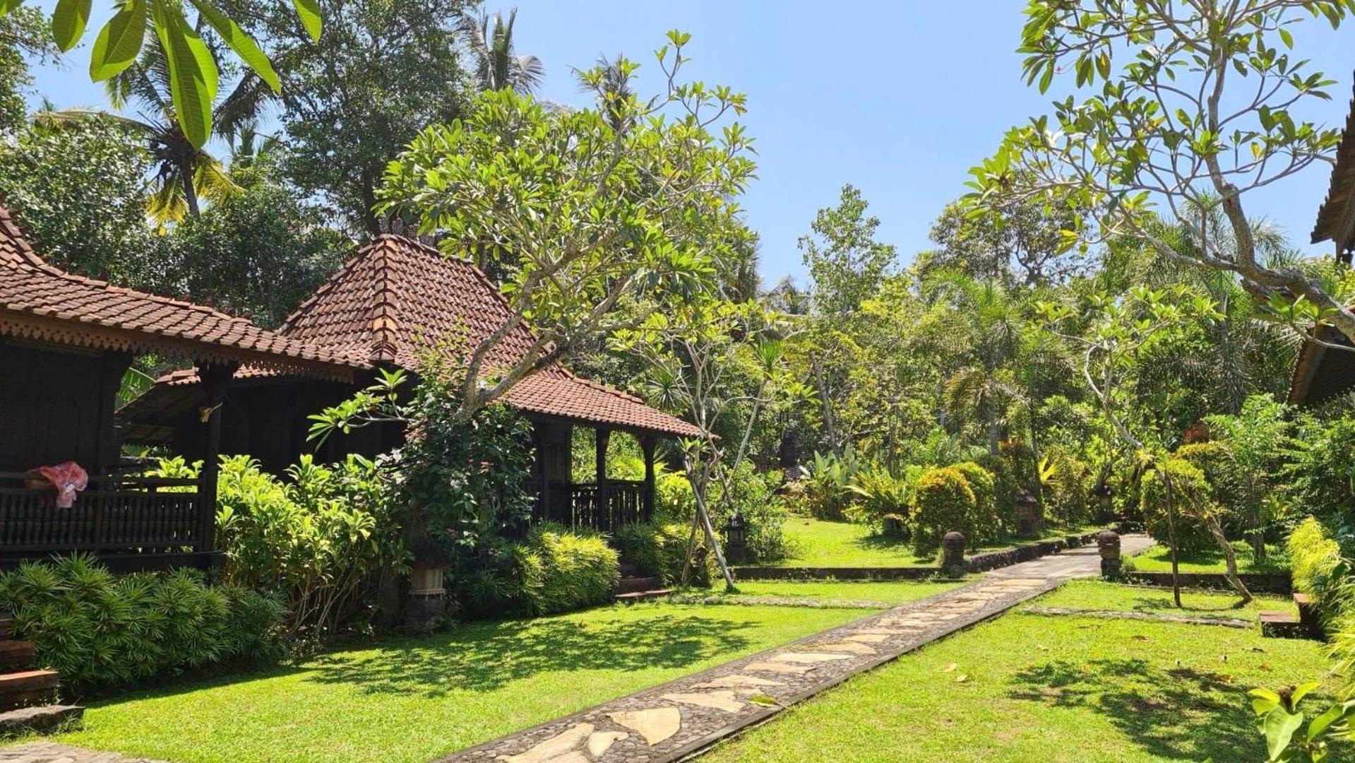 Alas Arum Ecolodge Selemadeg Kültér fotó